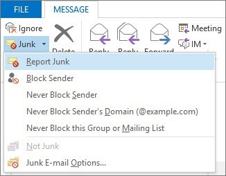 Report Junk Message Window