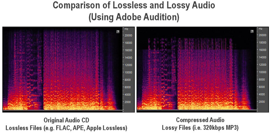 Lossy Audio Waveform Example