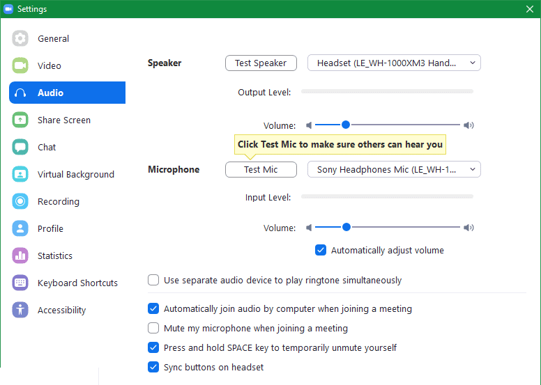 Zoom Audio Settings