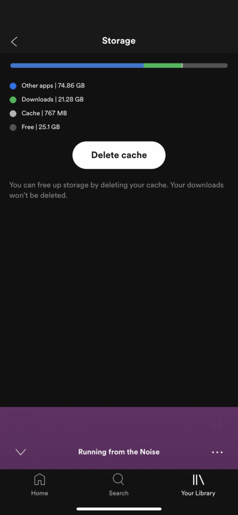03b-iPhone-Spotify-Storage