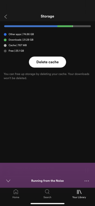 03b-iPhone-Spotify-Storage
