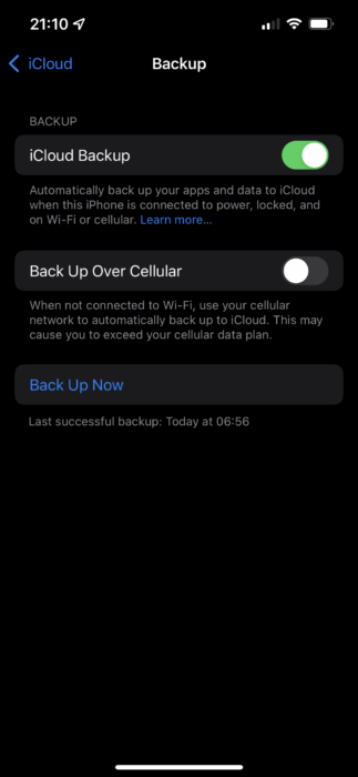 01b-iPhone-Backup-Options