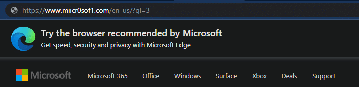 Fake Microsoft URL