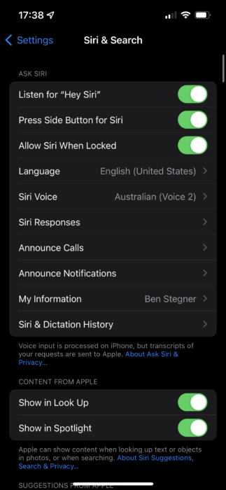 Siri Options iPhone