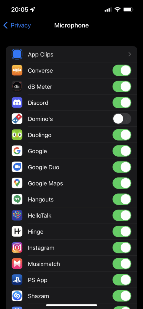 iPhone Privacy Permission Type