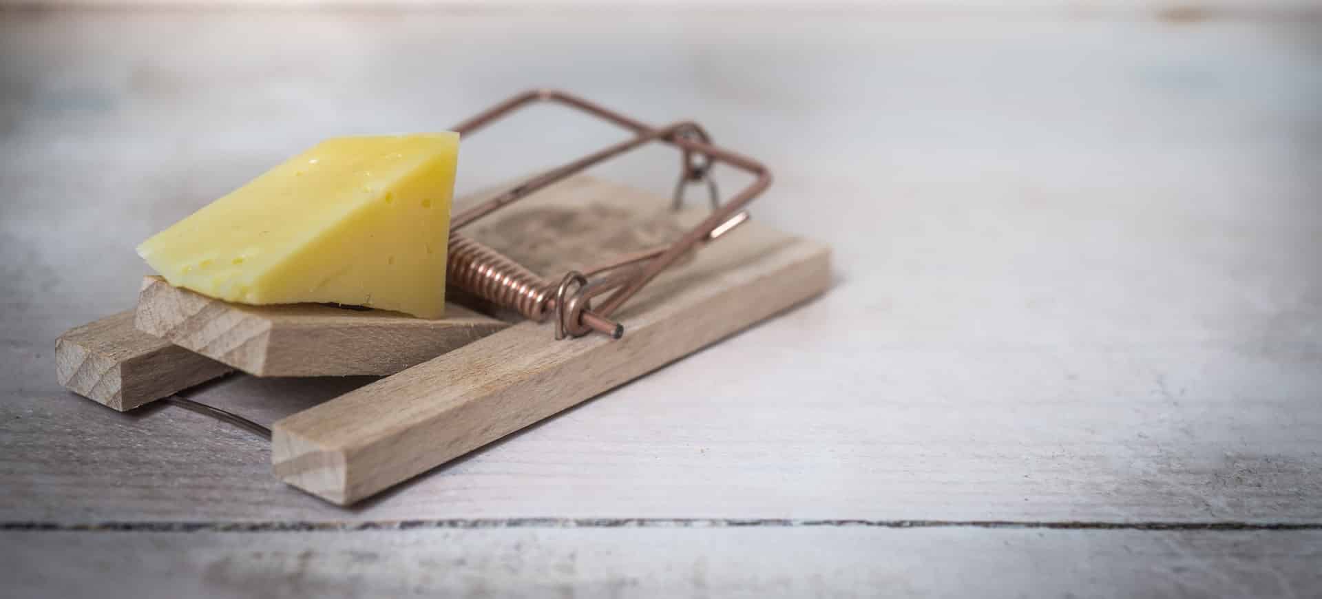 pig-butchering-scam-featured